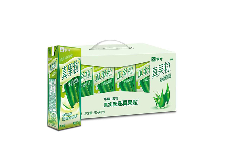 MENGNIU FRUIT GRANULES ALOE VERA FLAVOR YOGURT DRINK 250G 10BOTTLES